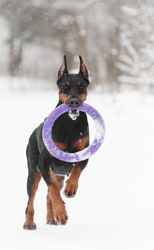 Photograph by Коптилина Галина