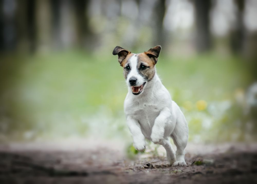 Photograph by Коптилина Галина