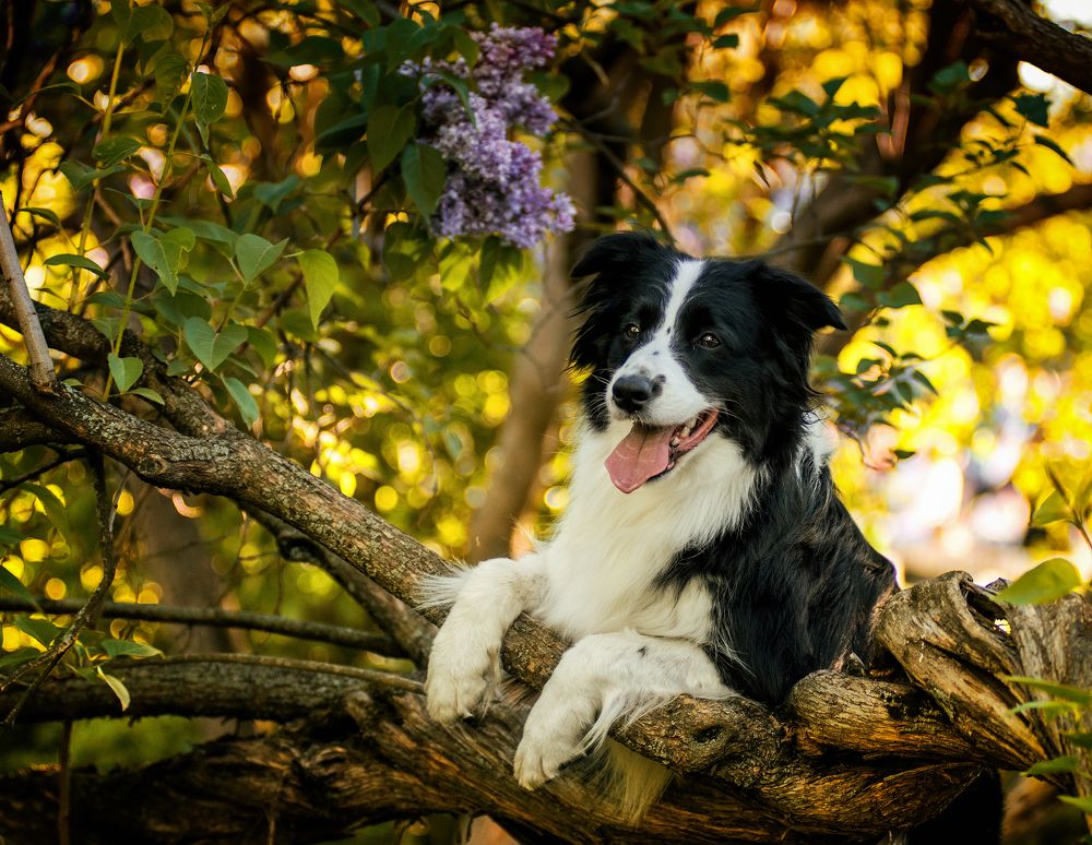 Photograph by Коптилина Галина