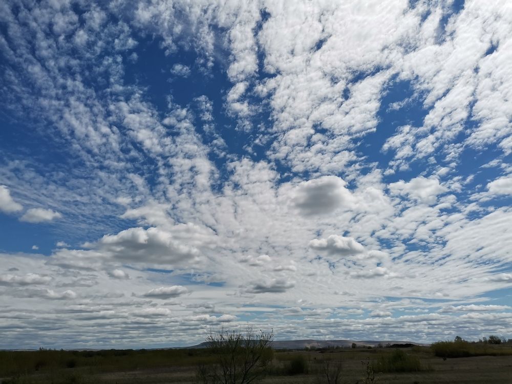 Photograph by Наталья Горбачева