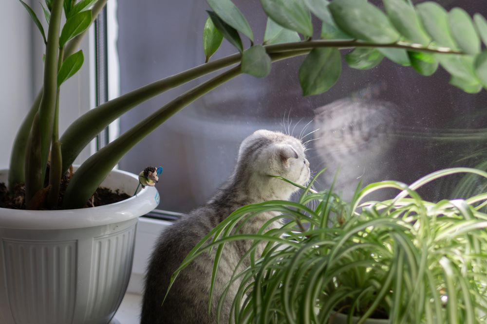 Взгляд в Большой Мир