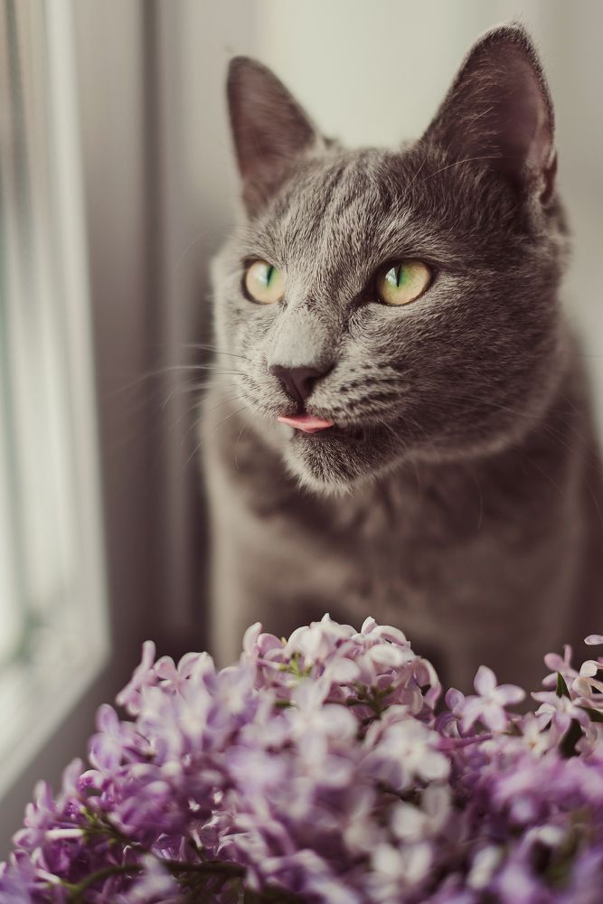 Photograph by Анна Ермоленко