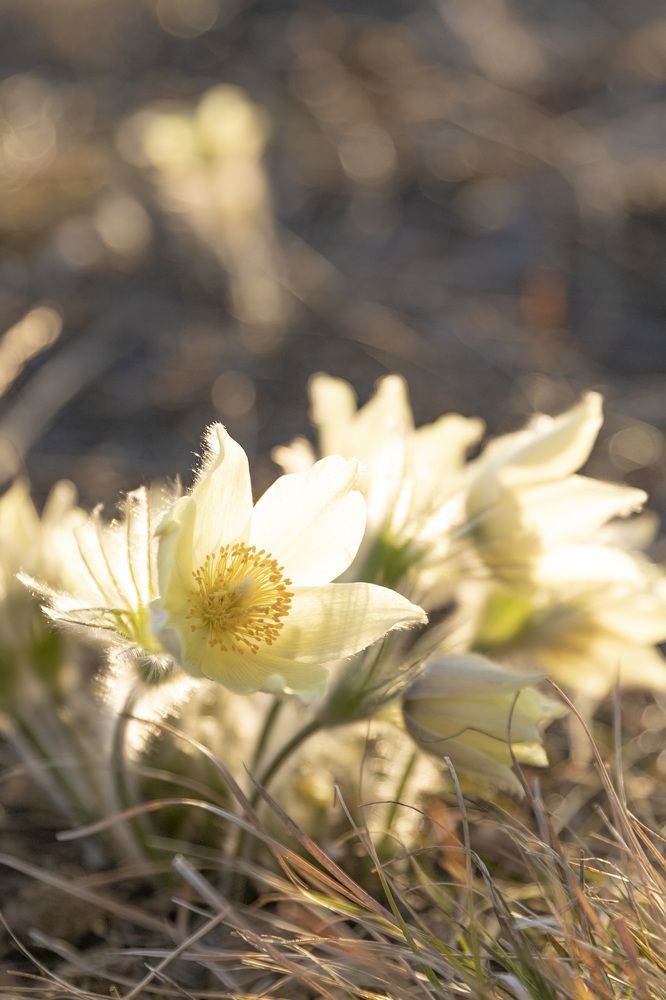 Photograph by Russia Egorova