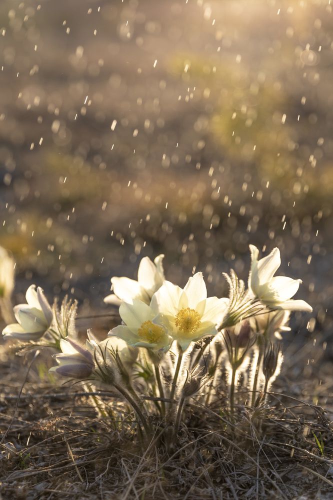 Photograph by Russia Egorova