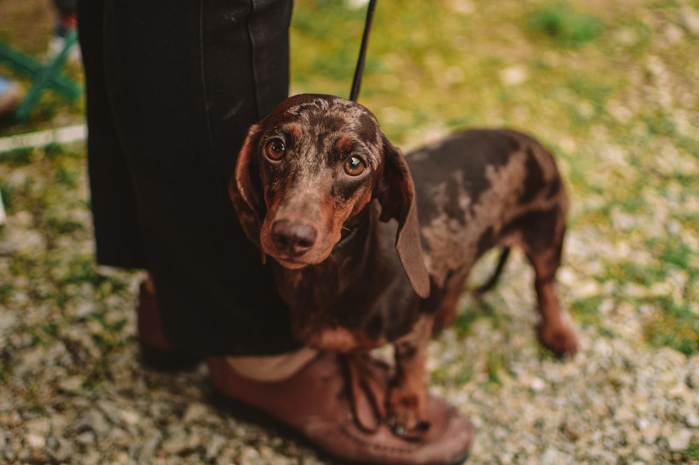 Photograph by Лия Цаава