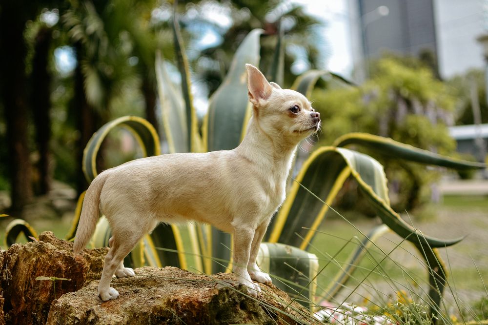 Photograph by Лия Цаава