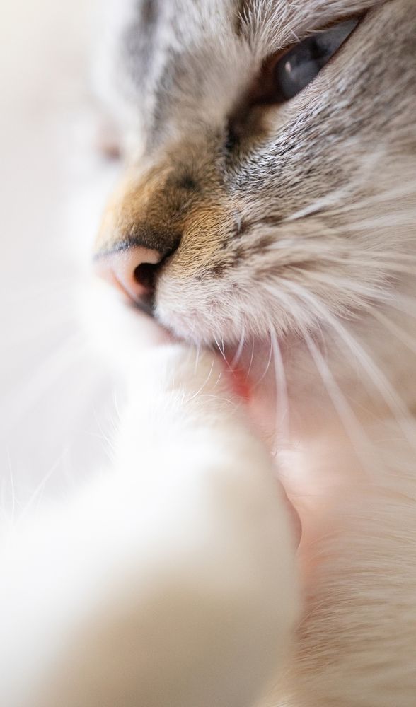 Photograph by Артём