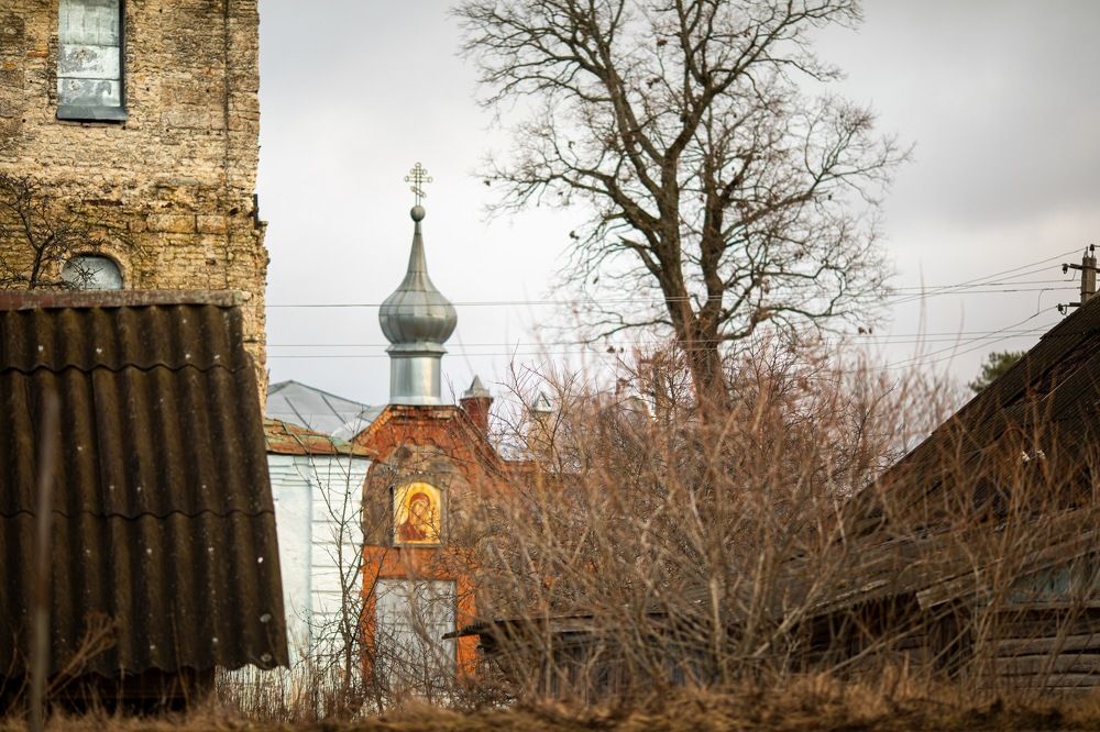 Фотография автора Ольга Трифонова