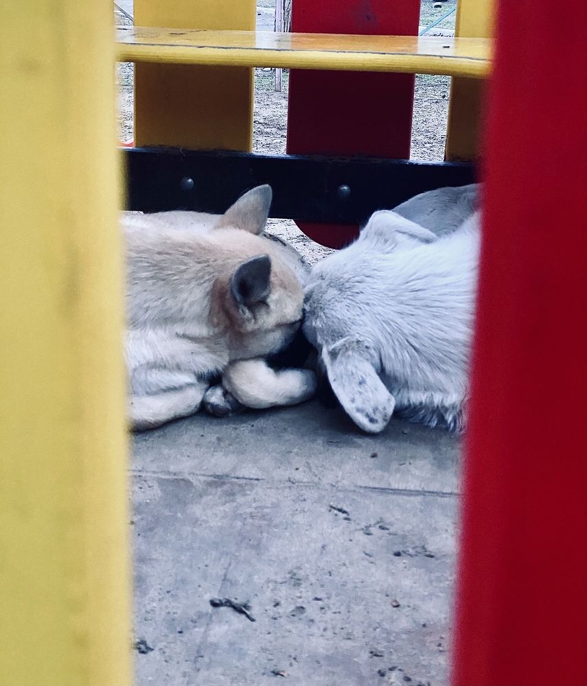 Photograph by Анастасия Рызлеева