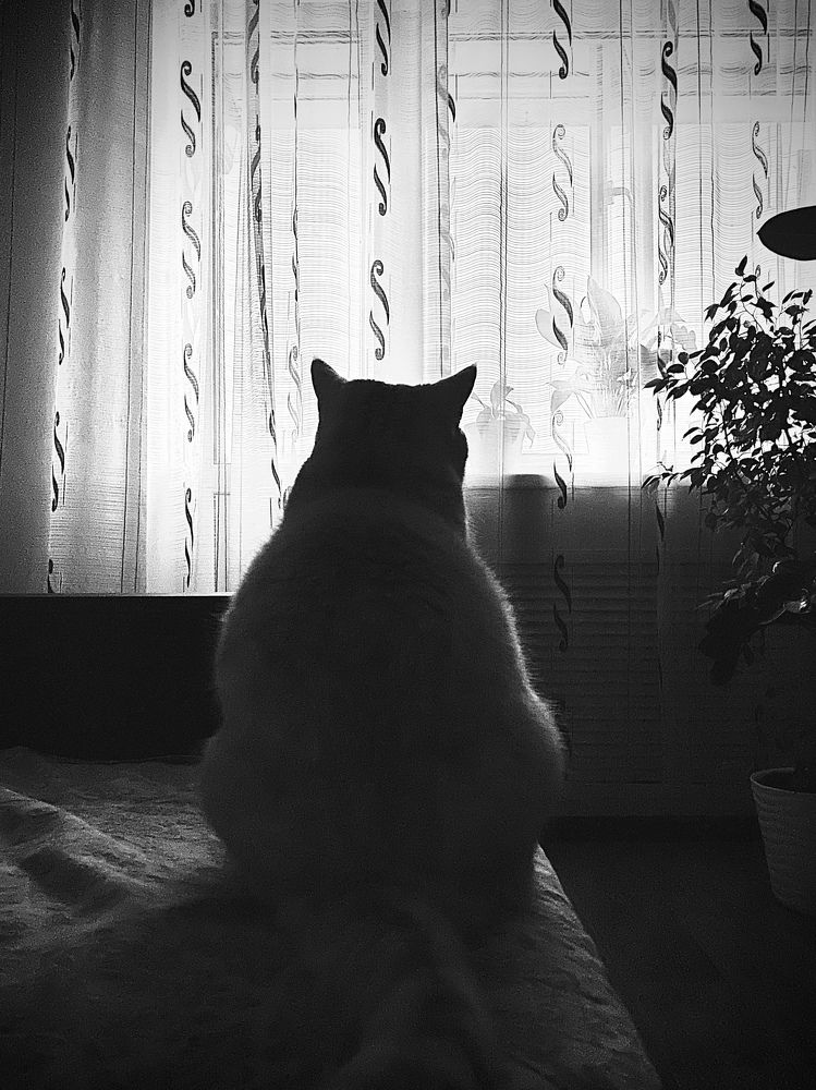 Photograph by Анастасия Рызлеева