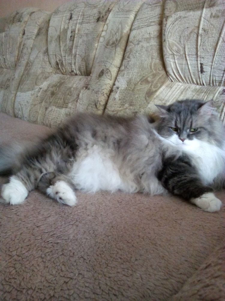 Photograph by Ирина Пшеничникова