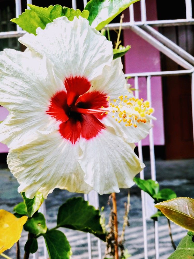 Photograph by DEEPSHIKHA KEOT