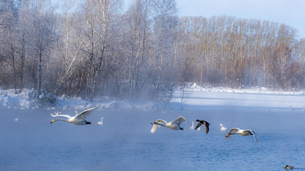 Photograph by Михаил