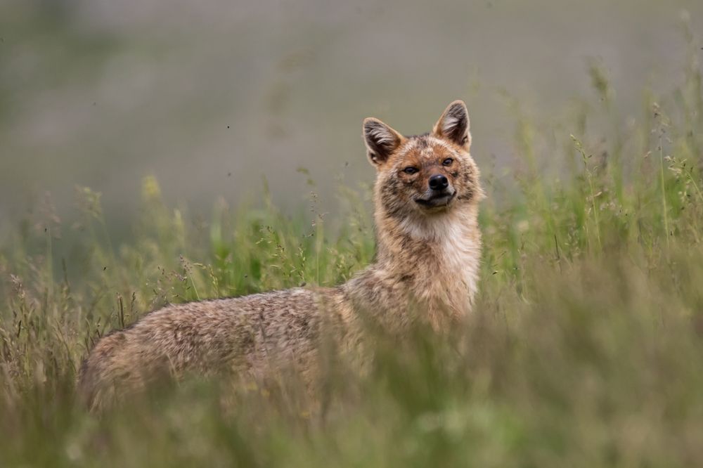 Photograph by Nikolay Stoyanov