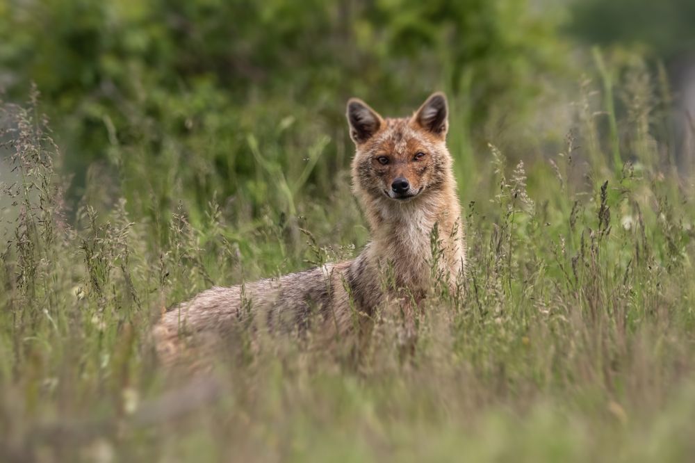 Photograph by Nikolay Stoyanov