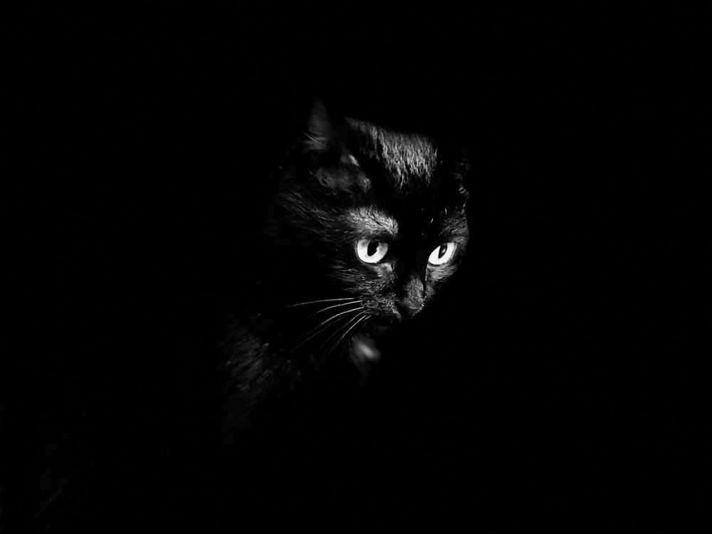 Photograph by Артём Бочкарёв