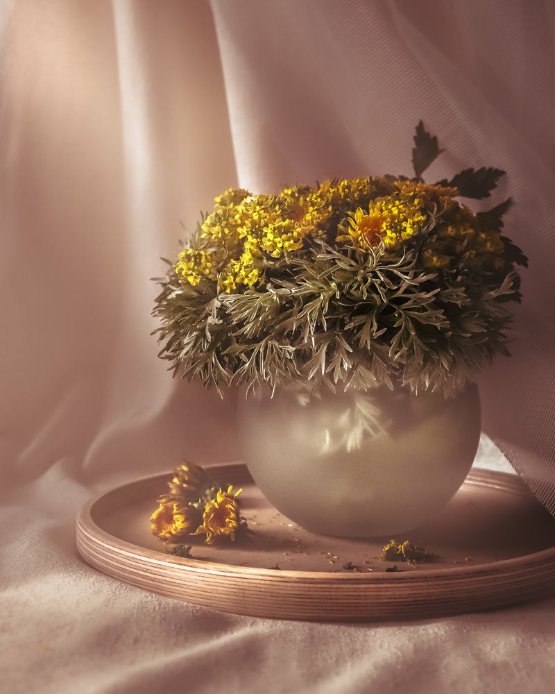 Photograph by Эльвира Курочкина