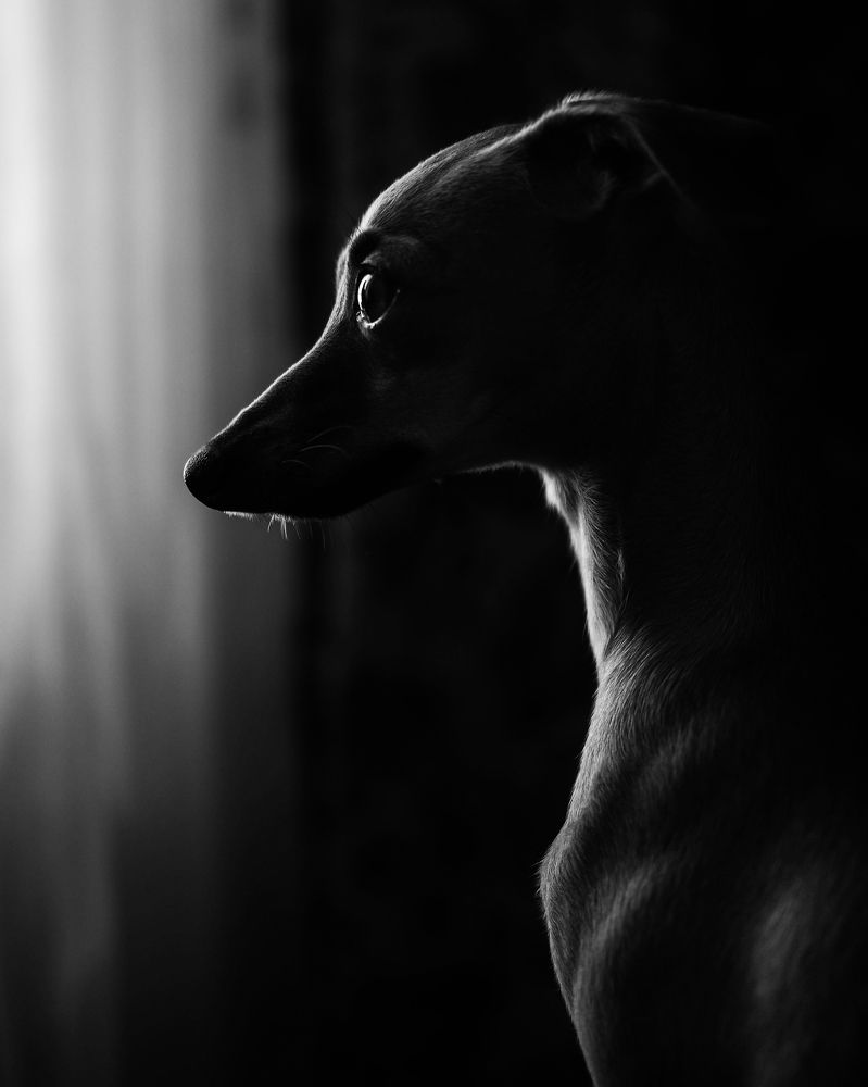 Photograph by Konstantin Morozov