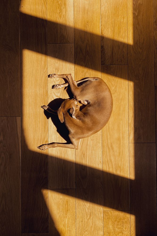 Photograph by Konstantin Morozov