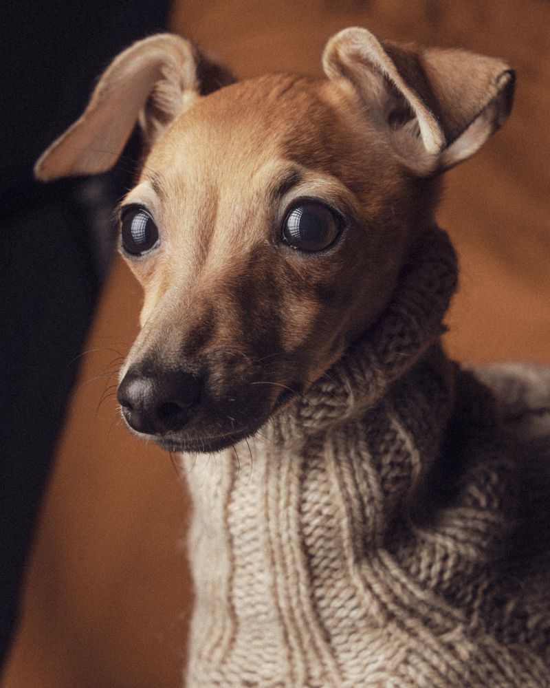 Photograph by Konstantin Morozov