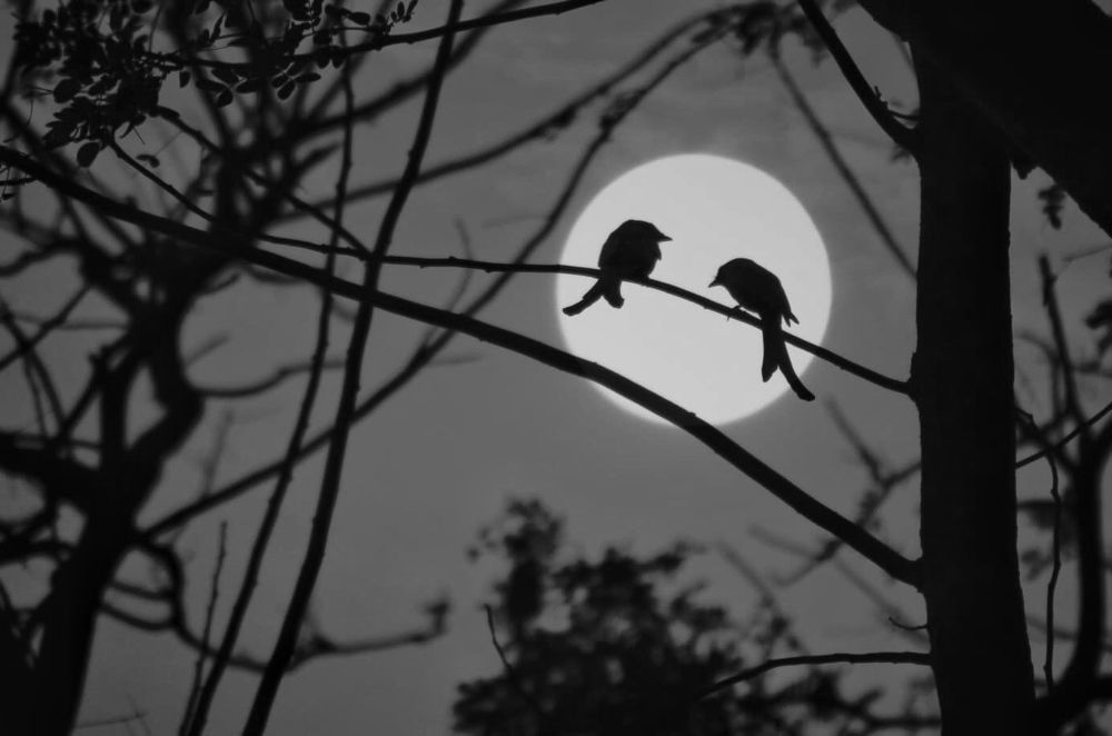 Be together till the end.