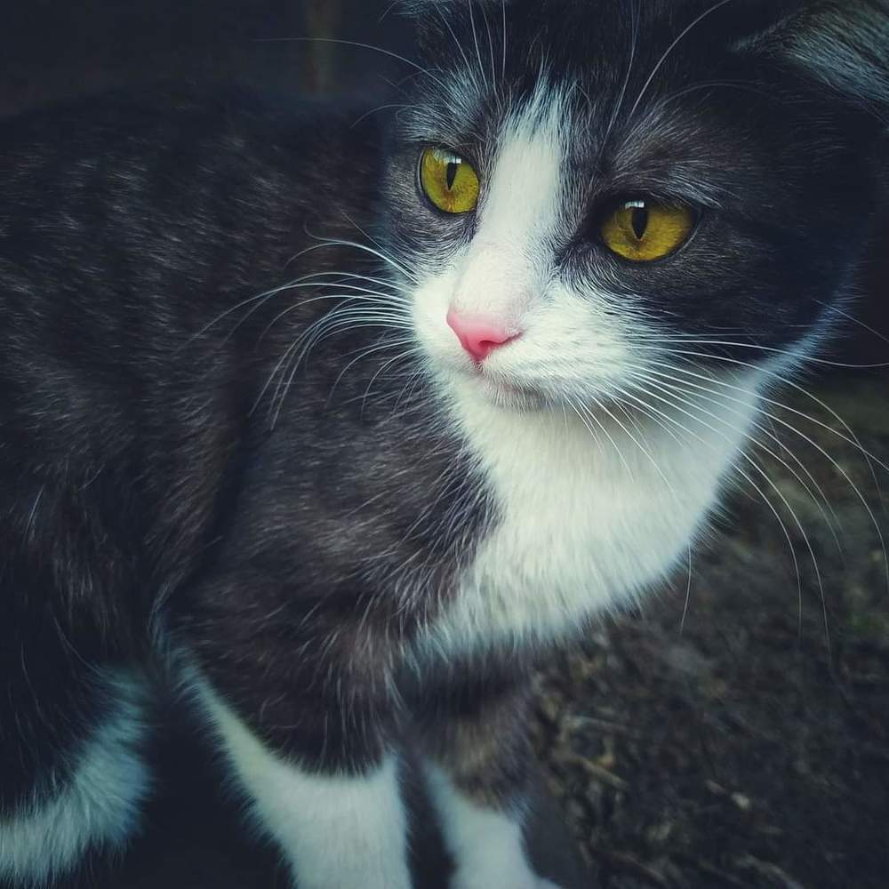 Photograph by Наталья Котяй