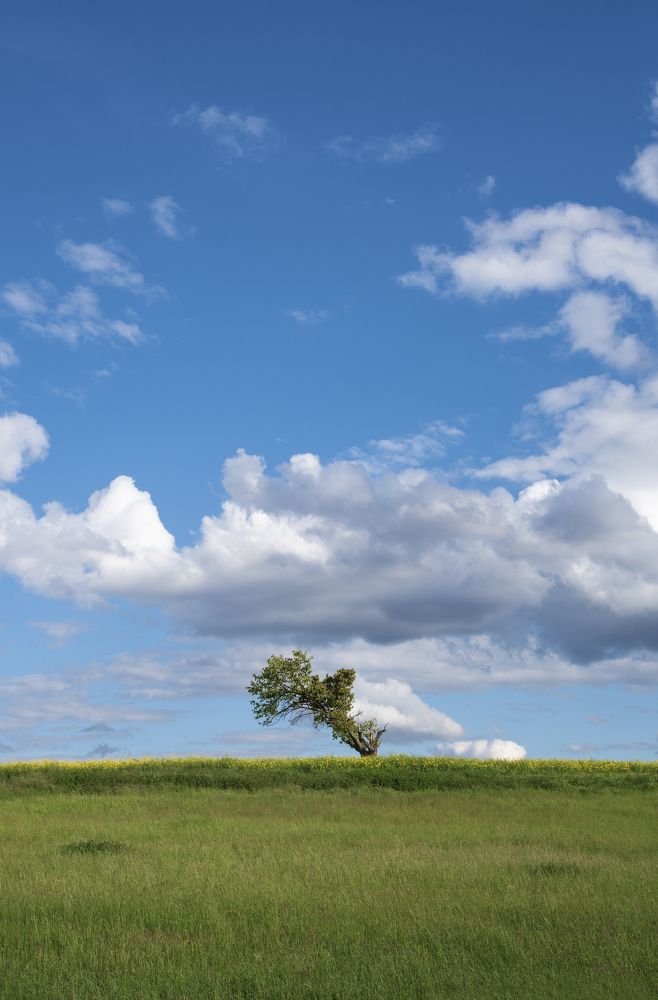 Photograph by Julia Carr