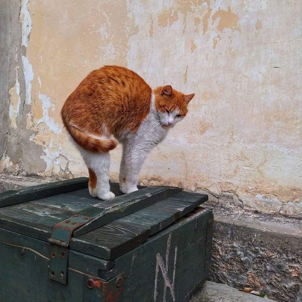 Photograph by Наталья Котяй