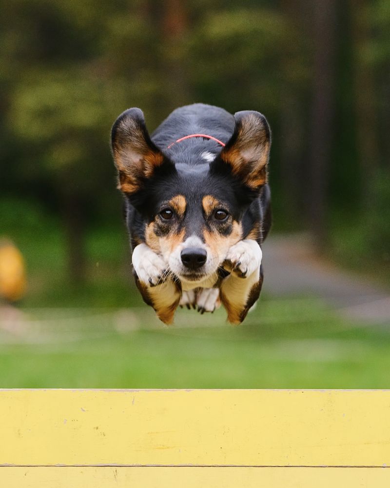 Photograph by Екатерина