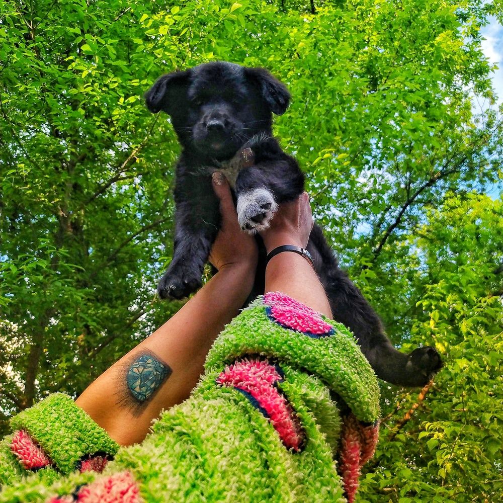 Photograph by Наталья Котяй