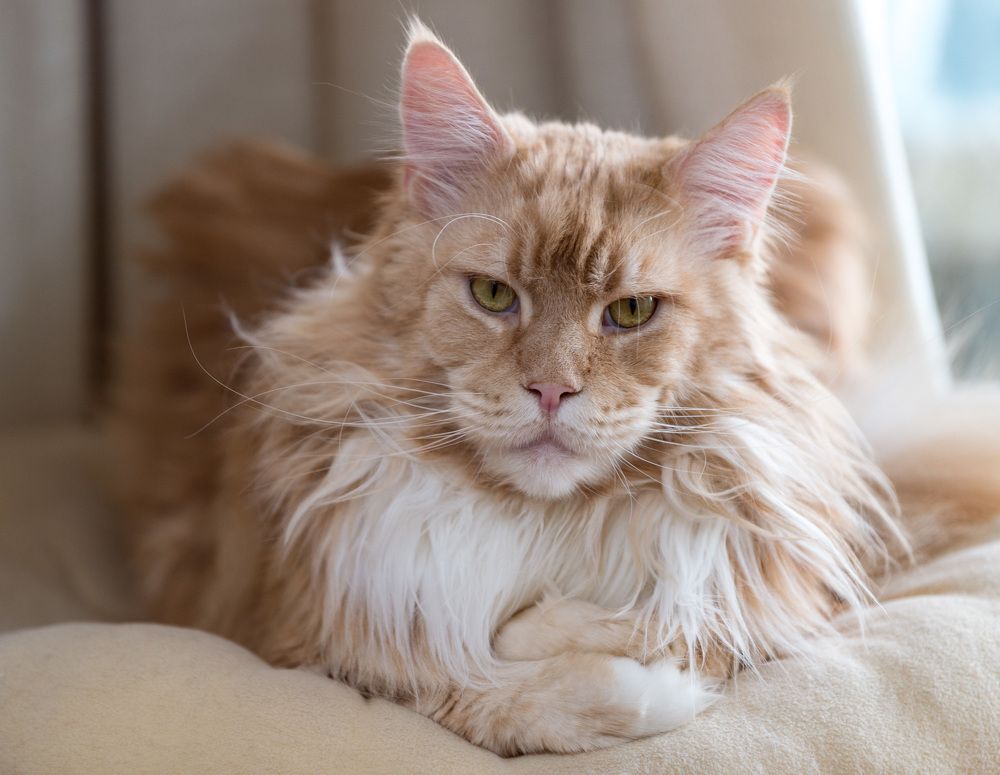 Photograph by Кирина Елизавета