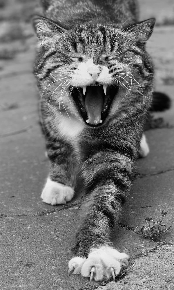 Photograph by Ирина Тимонина