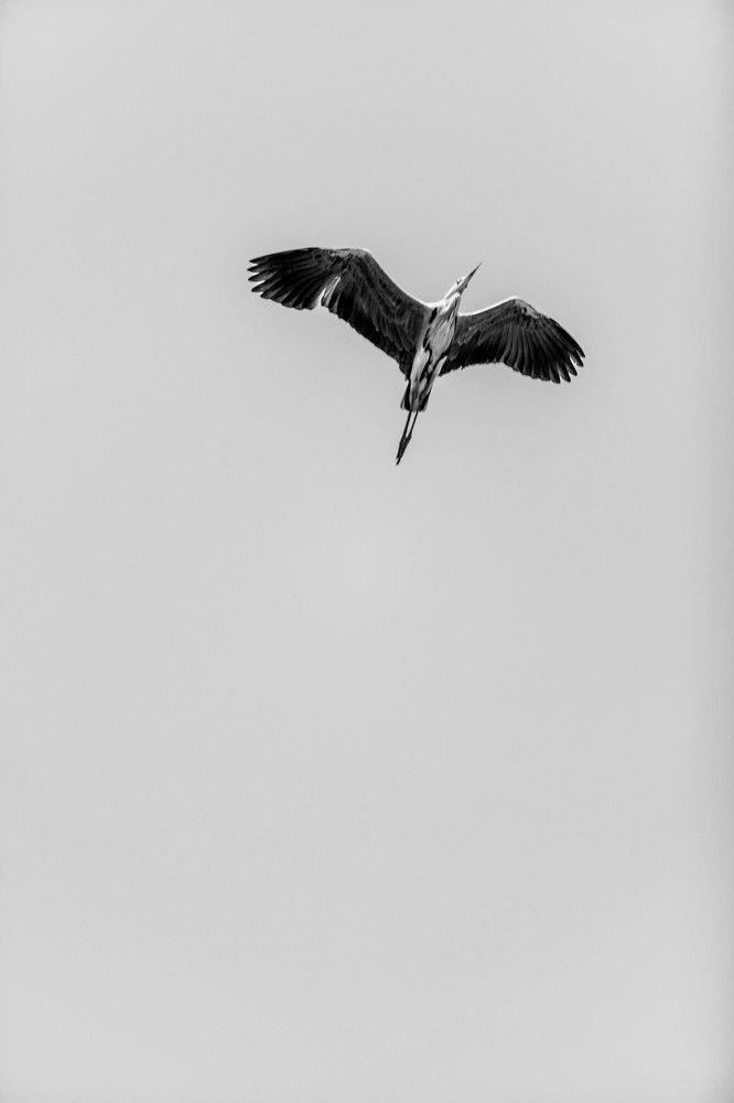 Photograph by Игорь Шашко