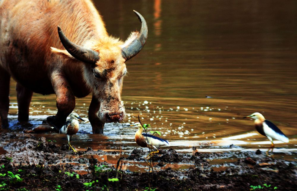 Photograph by Cakrawala Seti