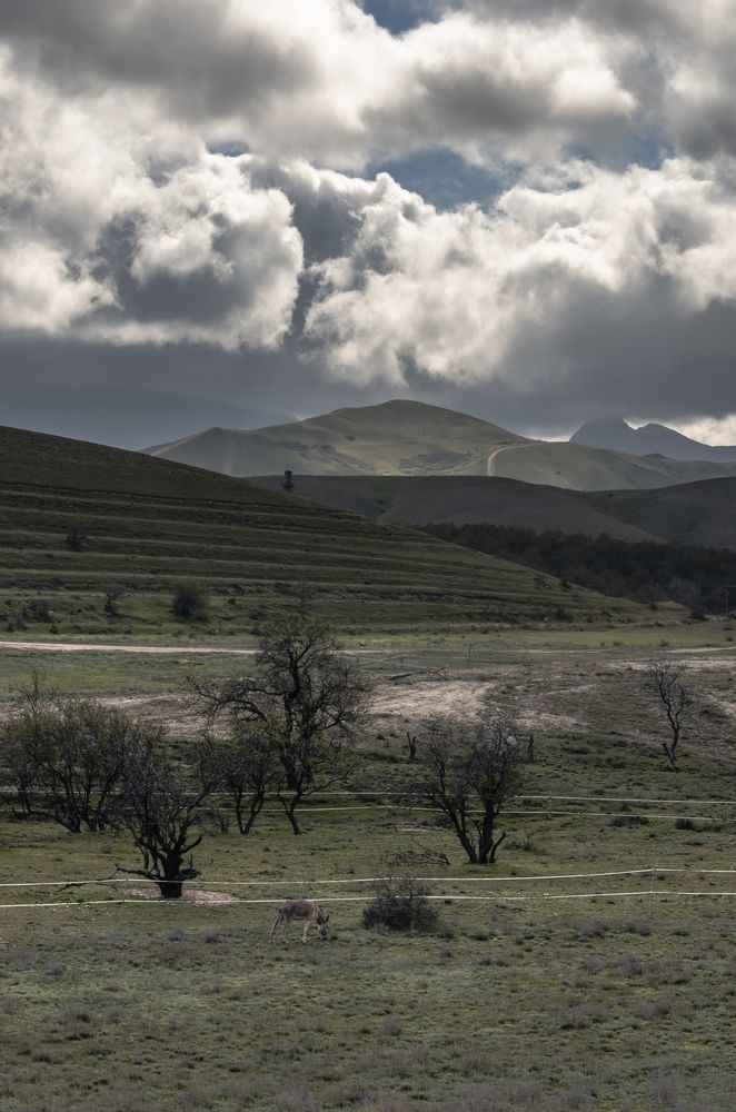 Photograph by Игорь