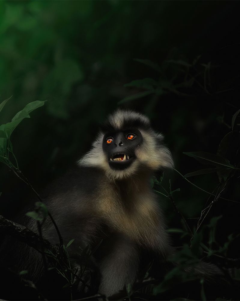 Photograph by Jayanta Guha