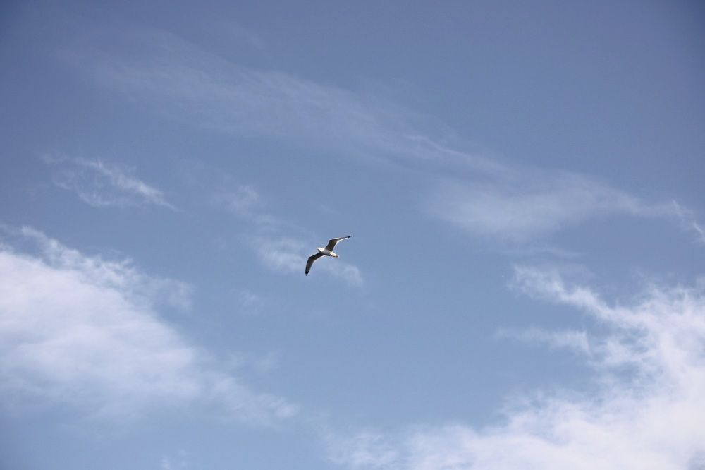 Photograph by Кристина Кузнецова