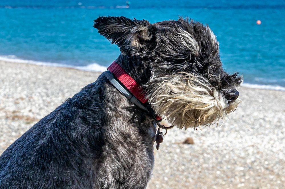 Photograph by Игорь Калинин