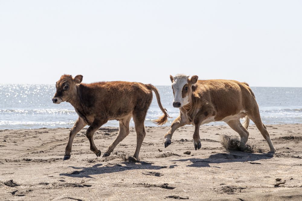 Photograph by Константин Кукушкин