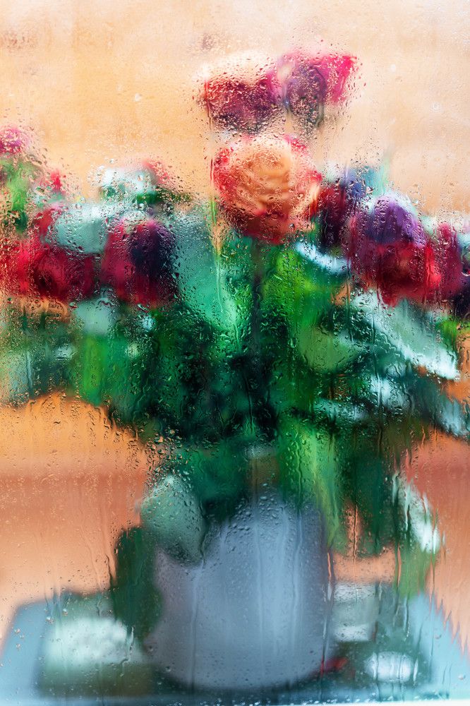 Photograph by Татьяна Трошина