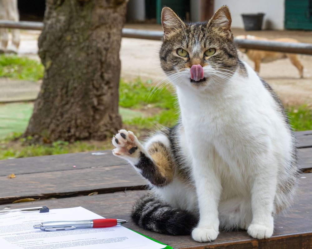 Photograph by Игорь Калинин