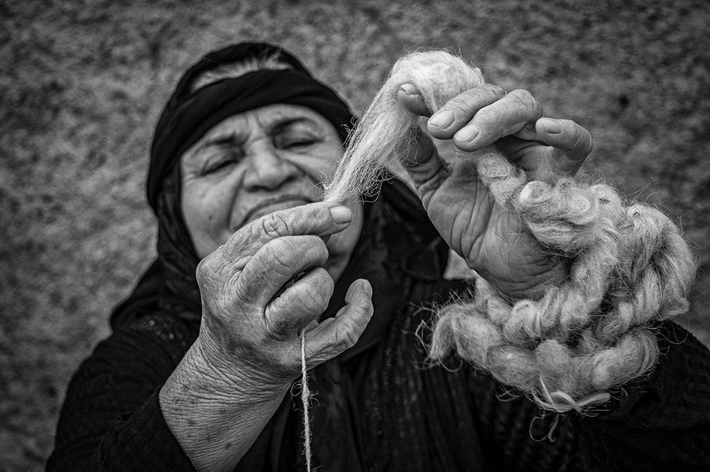 Photograph by Parisa Cheraghi