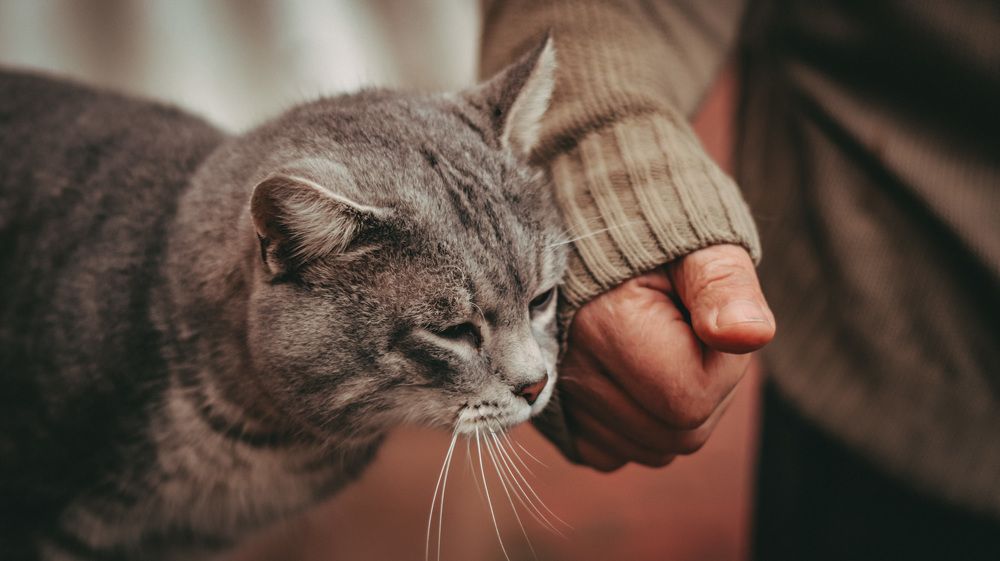 Photograph by Елизавета Кулаковская