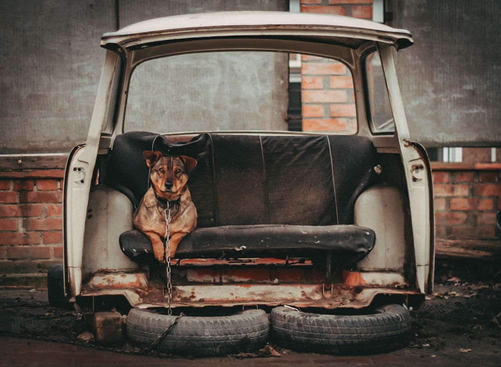 Photograph by Елизавета Кулаковская