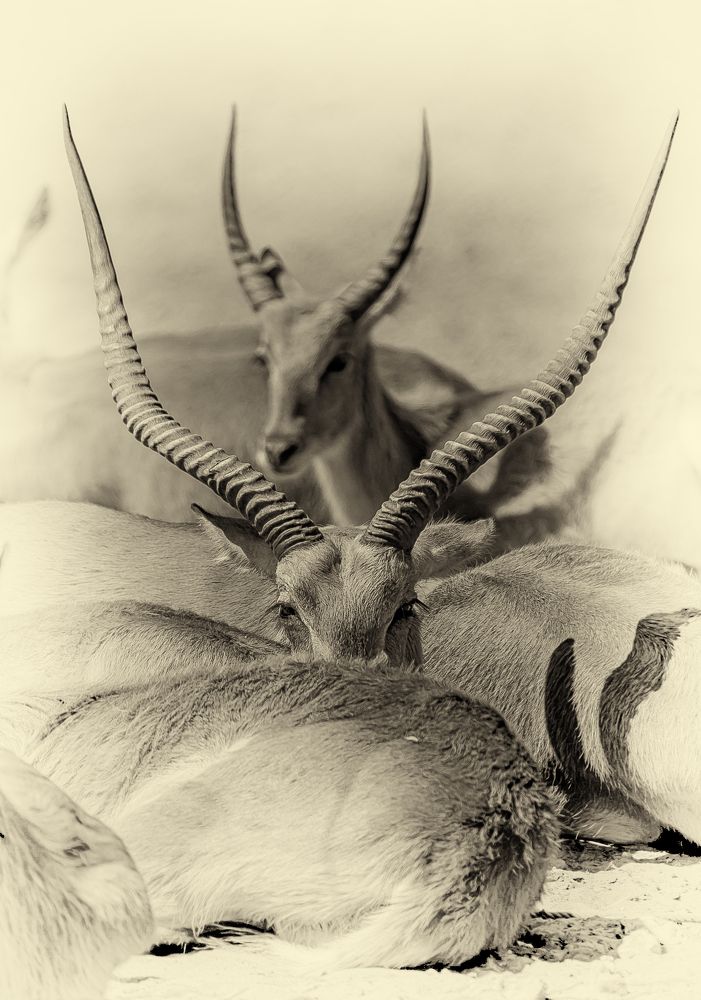 Фотография автора Katja Sen