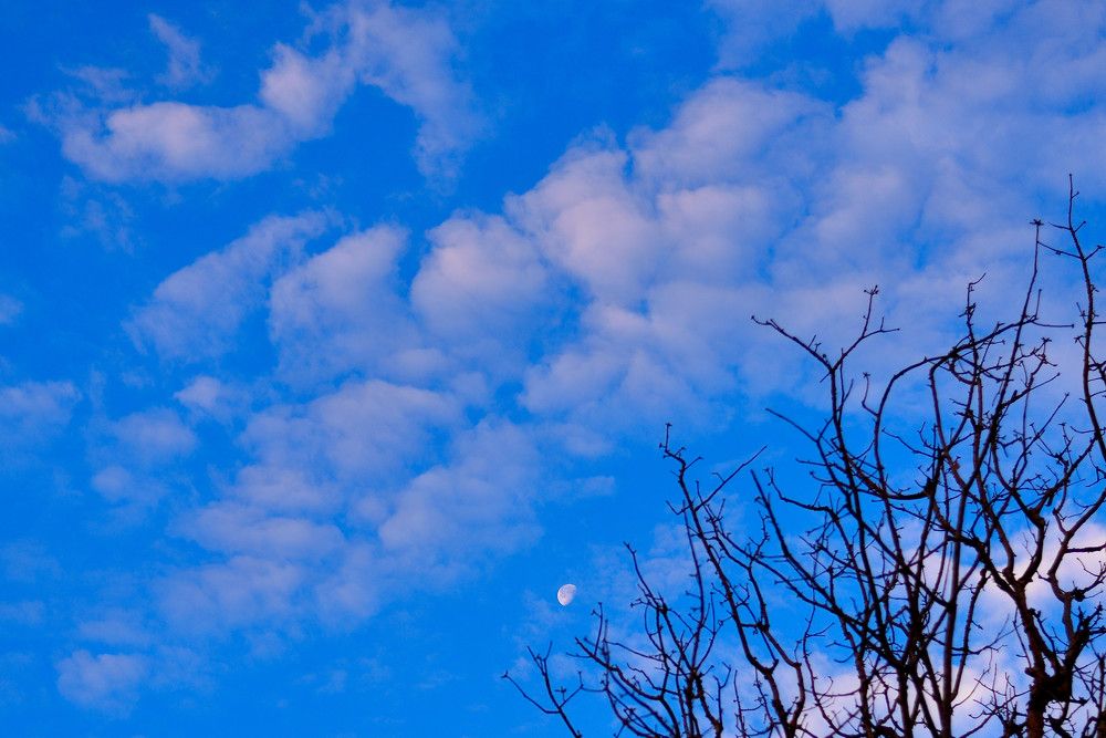 Cool moon in the sky