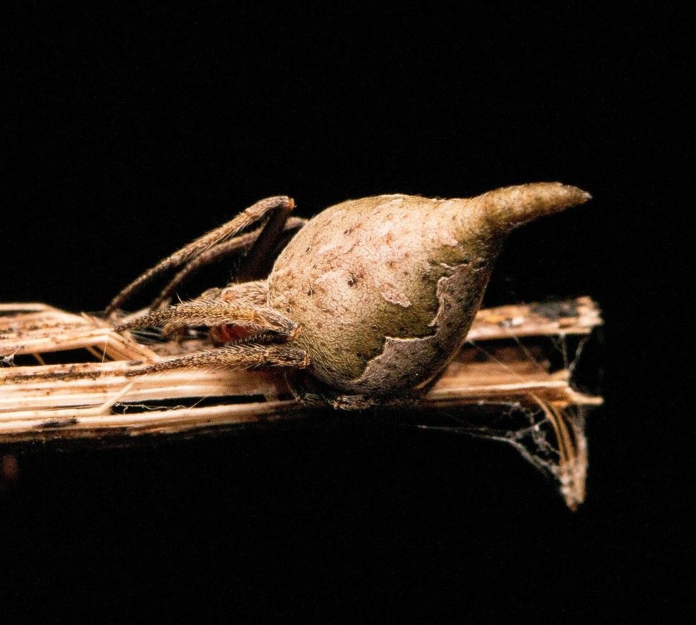 Photograph by Kiran Srinivasa