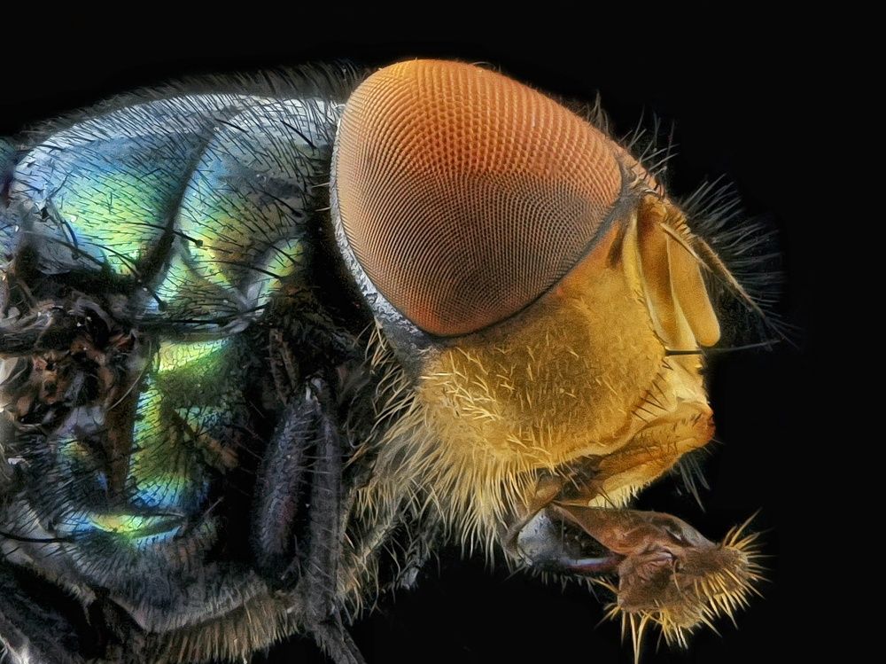 Photograph by  Duta Kharisma