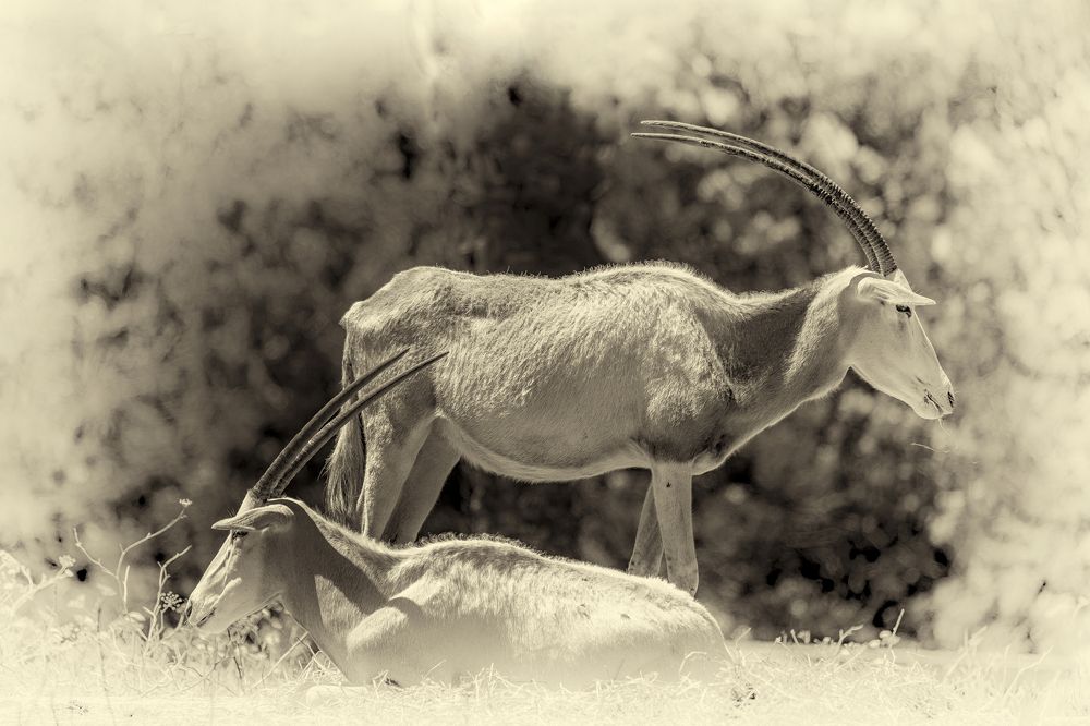 Photograph by Katja Sen