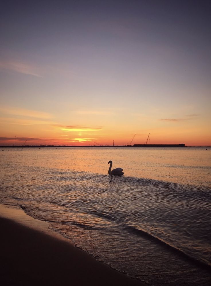 Photograph by Елена Юркевич